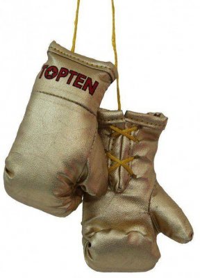 Сувенирные боксерские перчатки Top Ten Mini Gloves "Boxing"