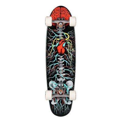 Лонгборд Riviera Anatomy of a Skateboard Complete