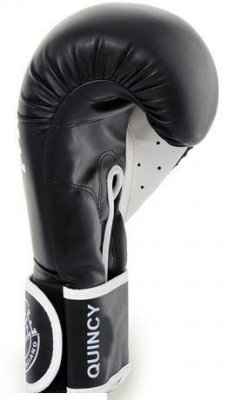 Боксерские перчатки Benlee Quincy