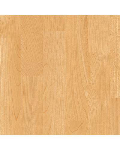 Вінілове покриття Gerflor Subflex Taraflex Evolution Wood