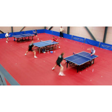 Виниловое покрытие Gerflor Taraflex Table Tennis 4,5 мм