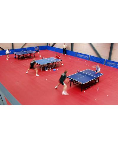 Вінілове покриття Gerflor Taraflex Table Tennis 6,2 мм