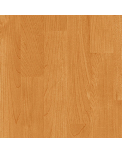 Вінілове покриття Gerflor Taraflex Multi-Use 6,2