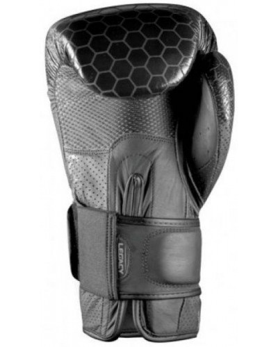 Боксерские перчатки Bad Boy Legacy 2.0 Black
