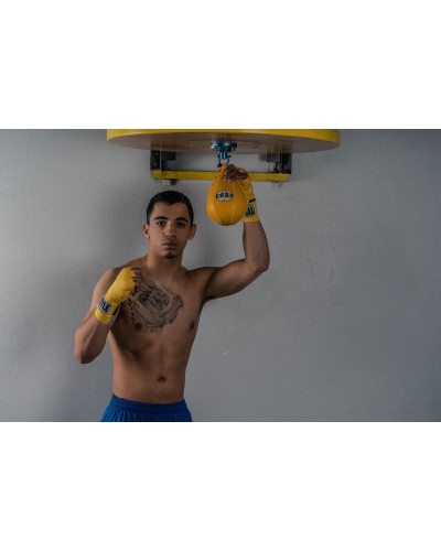 Пневмогруша Title Pro Mex Professional Speed Bag V2 12,7x20 см
