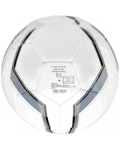Мяч футбольный Puma Pro Training 2 MS 5