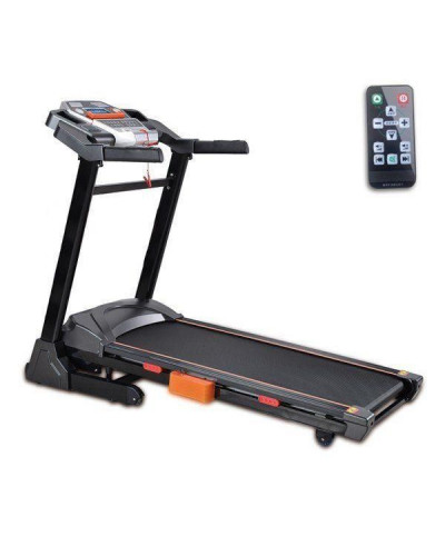 Беговая дорожка EnergyFIT EF-5530B