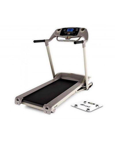 Беговая дорожка Eurofit Detroit