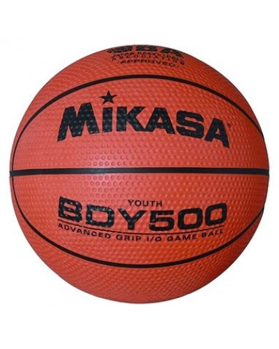 Баскетбольный мяч MIKASA BDY500
