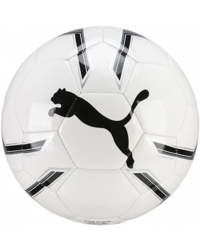 Мяч футбольный Puma Pro Training 2 MS 5