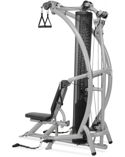 Мультистанция Inspire M1