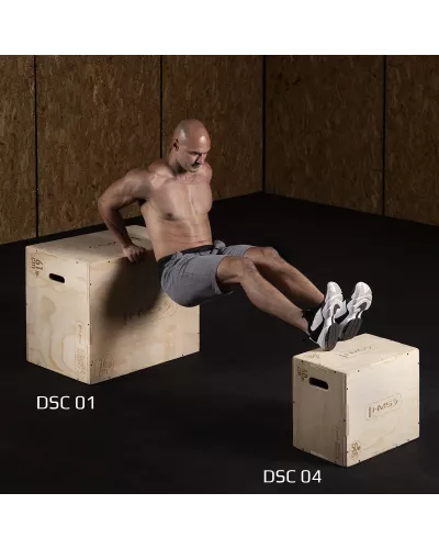 DSC01 PLYOMETRIC CHEST HMS