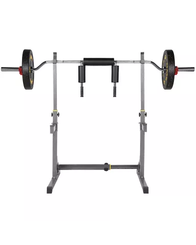 GOL320 CURL OLYMPIC BAR HMS