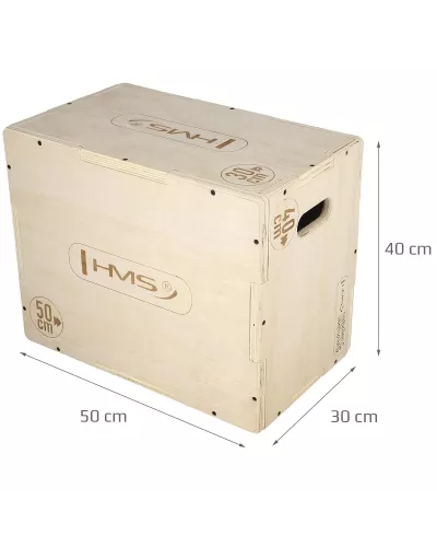 DSC04 50x40x30CM PLYOMETRIC CHEST HMS