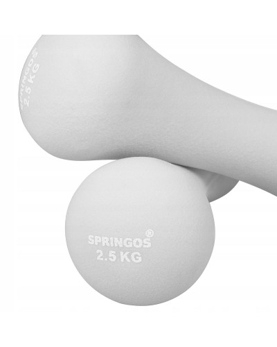 Гантели для фитнеса Springos (2 x 2.5 кг)