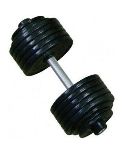 Гантель професійна InterAtletika ST550.70 70 кг