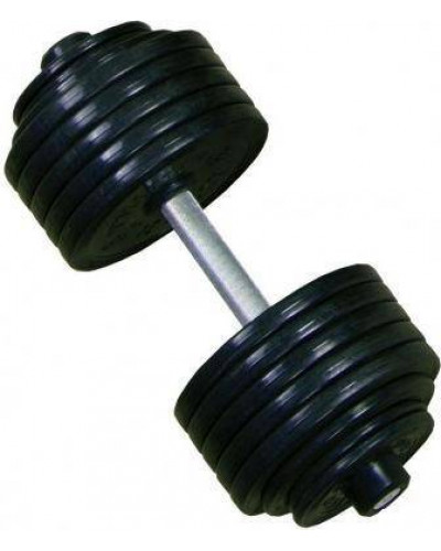 Гантель професійна InterAtletika ST550.52 52 кг