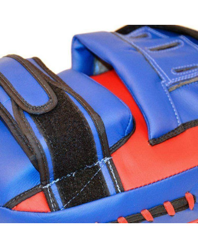 Лапи боксерські FAIRTEX Maximized Focus Mitts