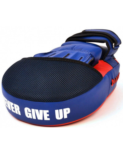 Лапи боксерські FAIRTEX Maximized Focus Mitts
