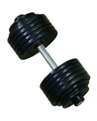 Гантель професійна InterAtletika ST550.50 50 кг