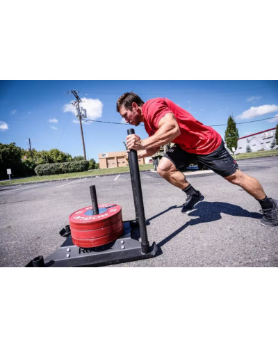 Сани Rogue Echo Dog Sled
