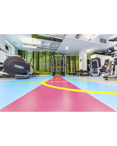 Покрытие Gerflor Taraflex Performance 9 mm DRY-TEX Wood