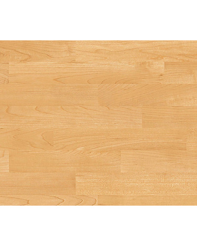 Покрытие Gerflor Taraflex Performance 9 mm DRY-TEX Wood