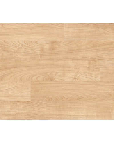 Покрытие Gerflor Taraflex Performance 9 mm DRY-TEX Wood