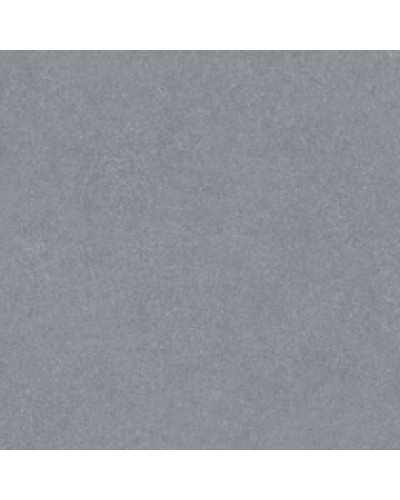 Вінілове покриття Gerflor Taraflex Multi-Use 6,2