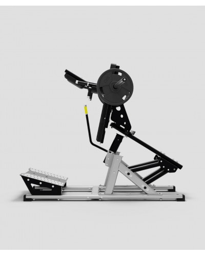 Exigo V Squat