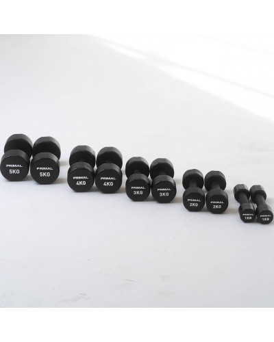 Уретанові студійні гантелі Primal Performance Series