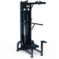 Двойной тренажер для подтягиваний/отжиманий с поддержкой Primal Performance Series, 125 кг