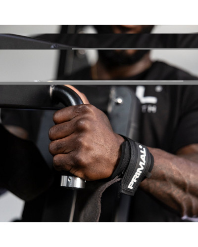 Верхня тяга/подвійна гребля із плитами Primal Performance Series Верхня тяга/подвійна гребля із плитами Primal Performance Series