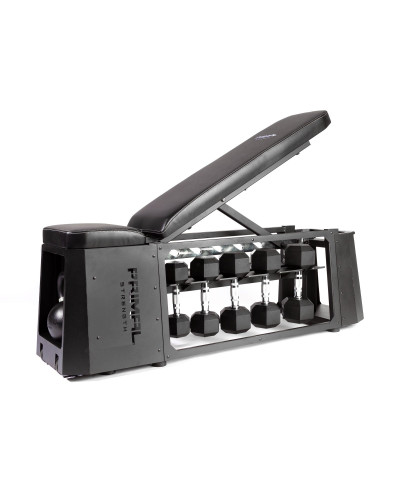 Лава для HIIT-тренувань Primal Performance Series Studio