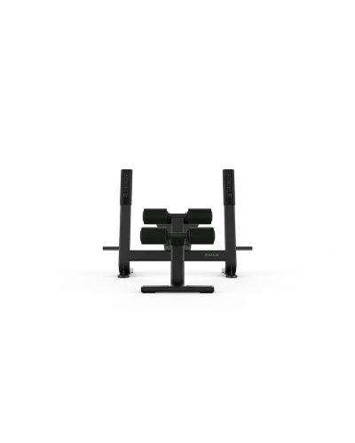 Олімпійська лава з нахилом вниз Shua SH-G6872