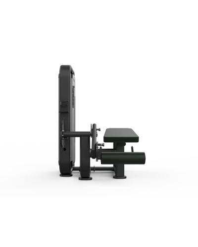 Згинання ніг лежачи Shua SH-G6812A