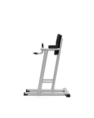 Станция для подъемов ног/отжиманий Exigo Leg Raise/Dip Station