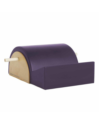 Merrithew Spine Corrector