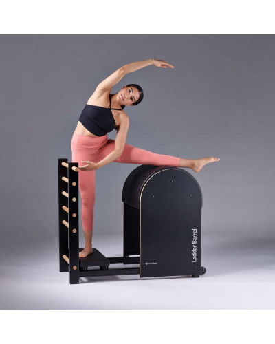 Гімнастична драбина Merrithew Ladder Barrel