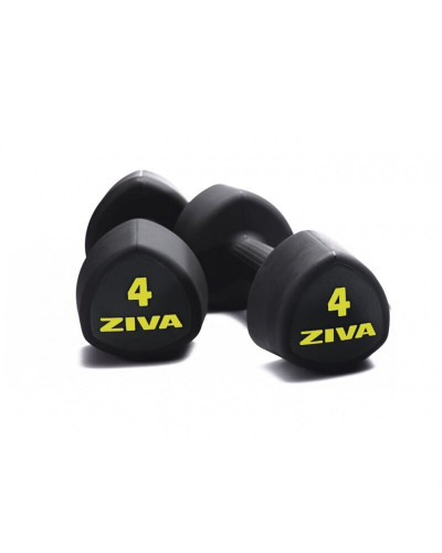 Студійні гантелі ZIVA ZVO PU Tribell