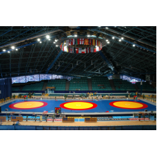 Татамі дзюдо IJF 200×100×4 см S00704