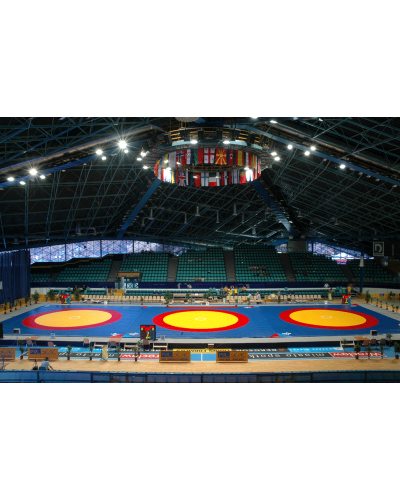 Татамі дзюдо IJF 200×100×4 см S00704