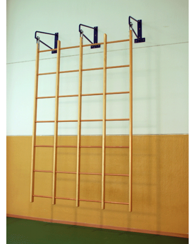 Підвісна шведська стінка з перекладинами, 24 отвори, 230×350 см S01004