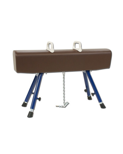 Кінь гімнастичний з ручками, натуральна шкіра S00106