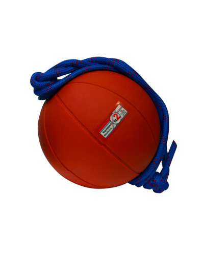 Медбол гумовий з мотузковою ручкою 2 кг S00872