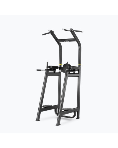 MULTI-GRIP KNEE RAISE/DIP/PULL-UP STATION