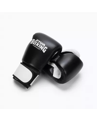 PERFORMANCE BOXING GLOVES