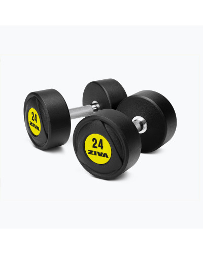 SL URETHANE DUMBBELL SETS