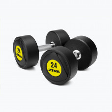 SL URETHANE DUMBBELLS (2KG INCREMENTS)