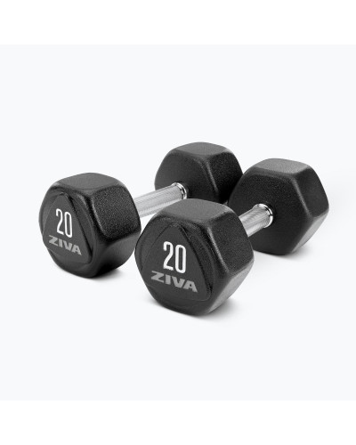 SL URETHANE HEXAGON DUMBBELLS (2KG INCREMENTS)